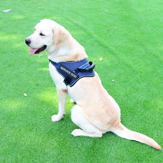 PawPop™ ControlHarness – Comfortabel Anti-Trek Hondentuig 🐕💪