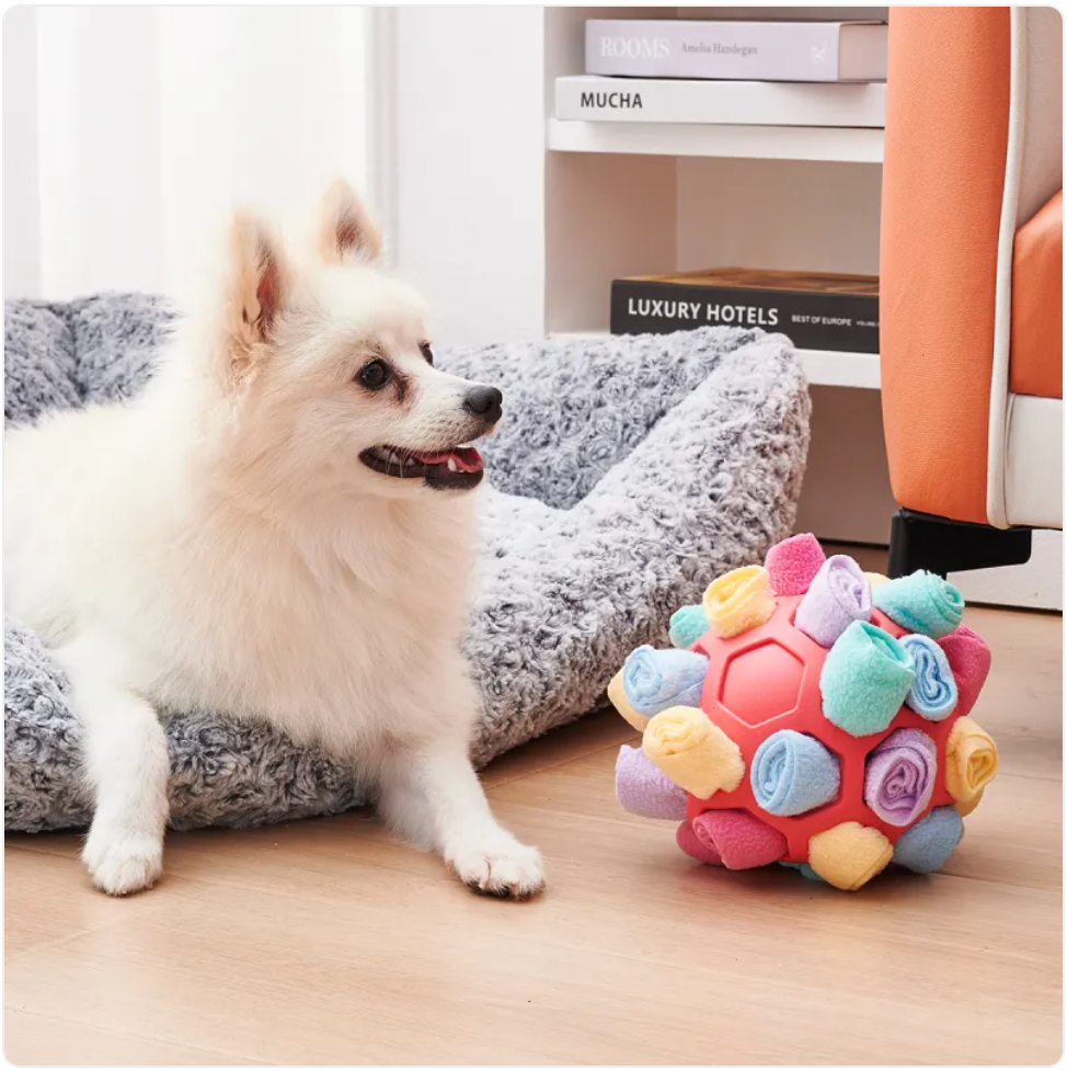 PawPop™ Interactieve Snuffel-Bal – De 10-Minuten 'Brain-Game' voor Honden 🐾